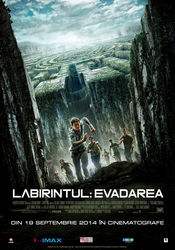 Labirintul: Evadarea (2014)